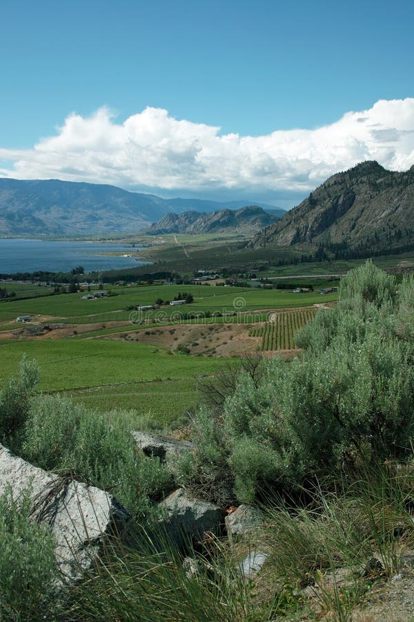 Crowsnest-Landstraßen-Ansicht von Osoyoos BC Kanada stockfotografie Crowsnest-Landstraßen-Ansicht von Osoyoos BC Kanada stockfotografie