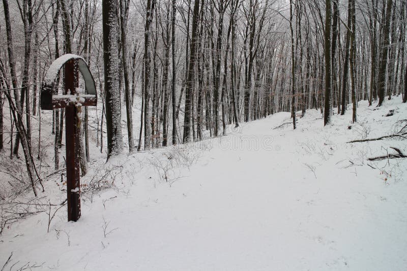 Crucifix in forest near Kacin, Slovakia