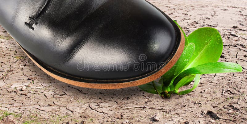 Mens foot almost hit the defenceless plant. Regenerate stock images, royalty-free photos and pictures