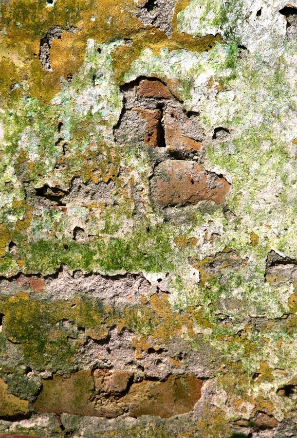 Crumbling walls stock image. Image of designer, color 15198391