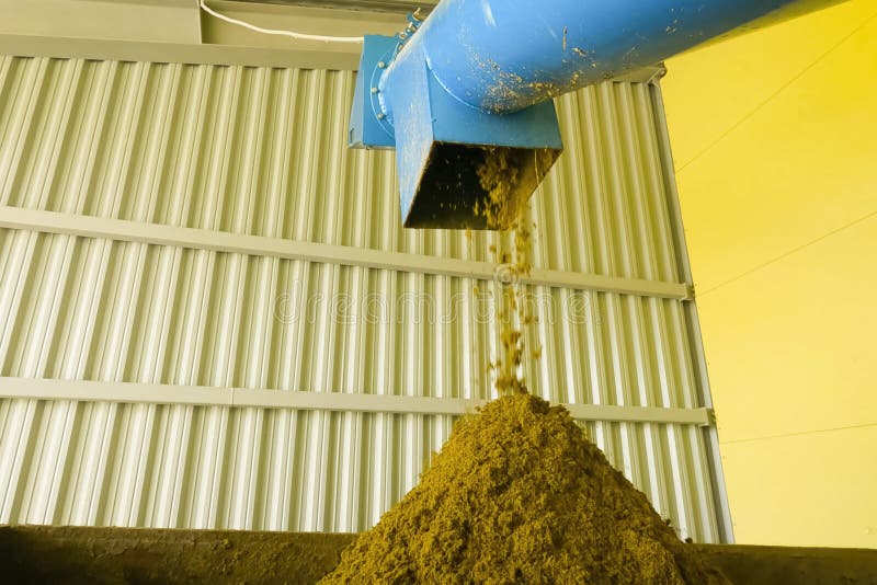 A Crushed dried cow manure royalty free stock photography