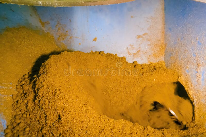 A Crushed dried cow manure royalty free stock photos