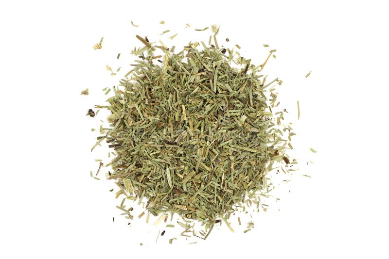 Crushed field horsetail stalks royalty free stock photo