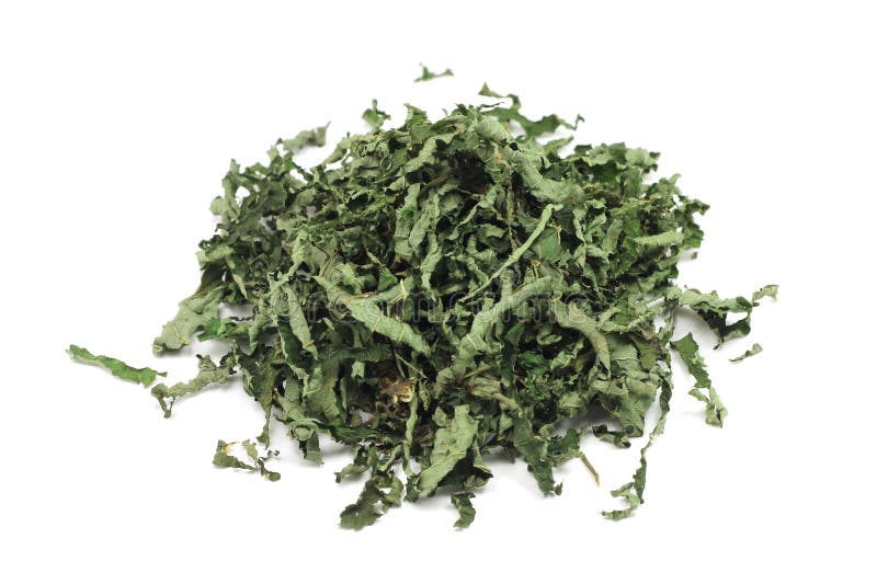 The crushed peppermint leaves royalty free stock photo