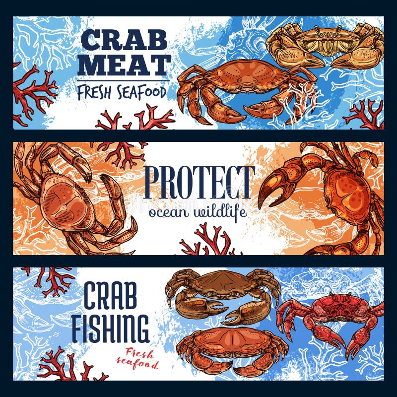 Crustaceans as seafood, crab endangered sea animal