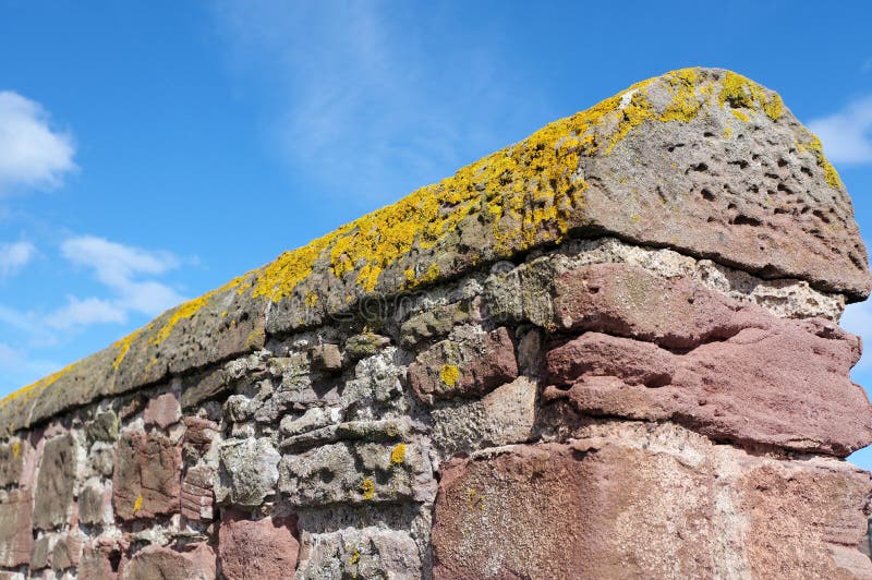 Crustose Lichen and Red Stone Wall