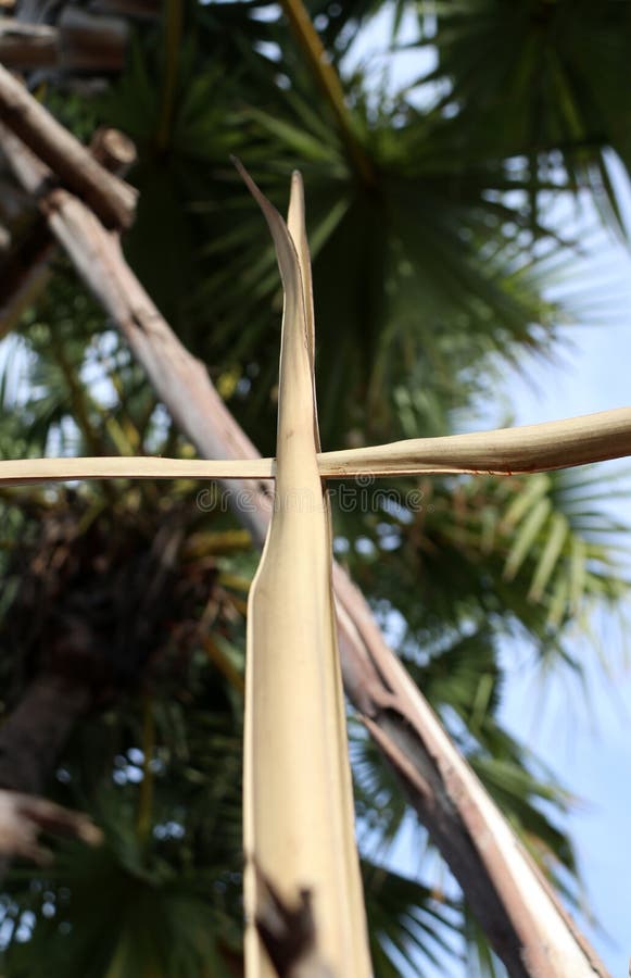Cruz ajustada da folha de palmeira seca ao crucifixo em folhas de palmeira com fundo do céu foto de stock Cruz ajustada da folha de palmeira seca ao crucifixo em folhas de palmeira com fundo do céu foto de stock