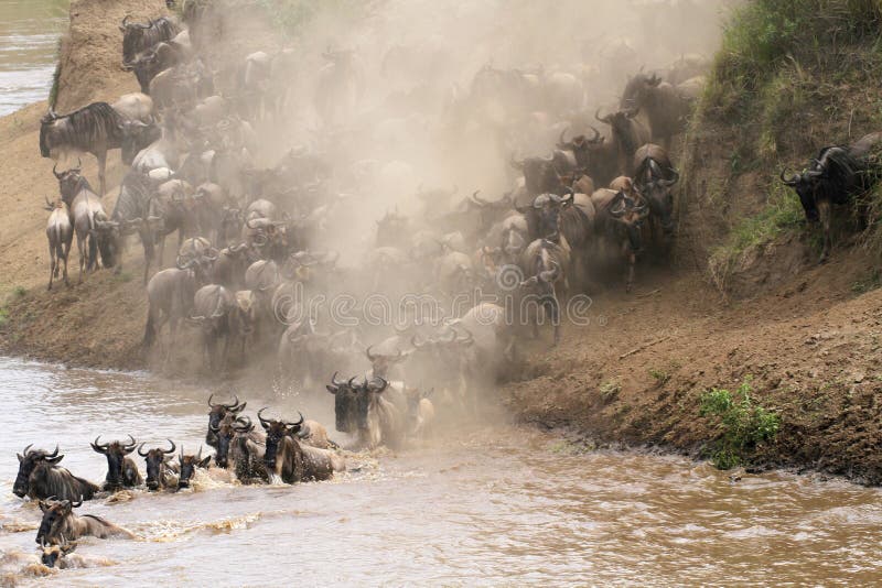 Cruzamento de rio de Mara do Masai