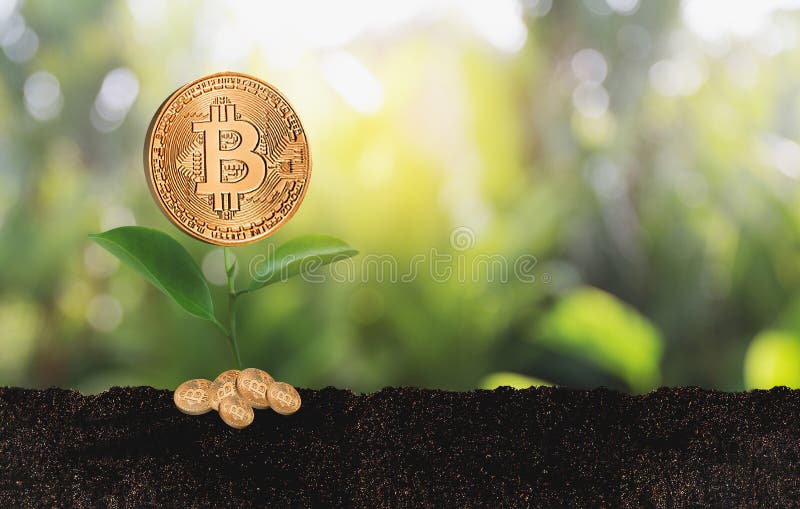 Crypto devise de Bitcoins d'échelle de concept d'or financier de croissance photo libre de droits