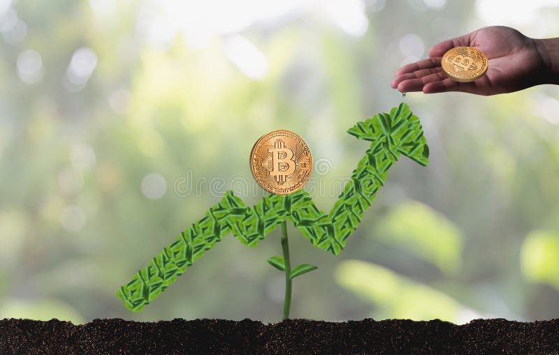 Crypto devise de Bitcoins d'échelle de concept d'or financier de croissance image libre de droits