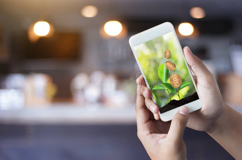 Crypto devise de Bitcoins d'échelle de concept d'or financier de croissance image libre de droits