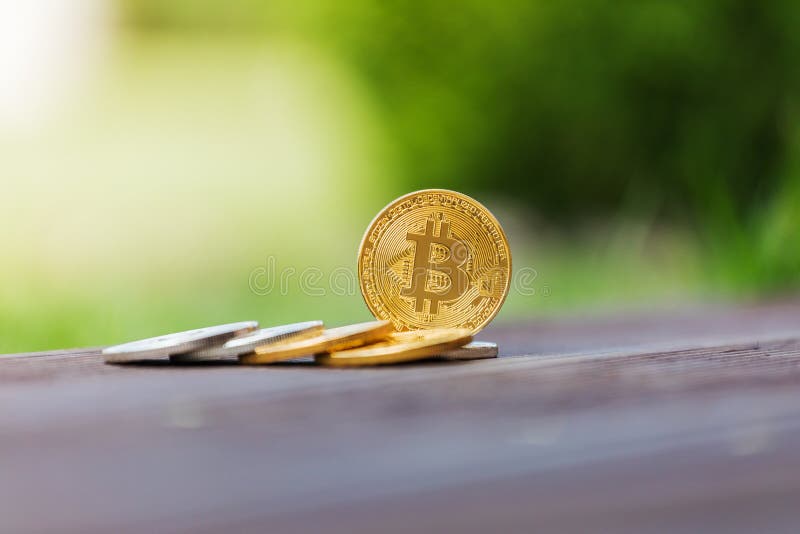 Crypto valutabitcoin för guld och för silver mot bakgrunden av grönt gräs royaltyfri foto Crypto valutabitcoin för guld och för silver mot bakgrunden av grönt gräs royaltyfri foto