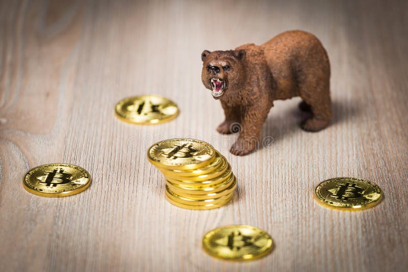 crypto bear markets