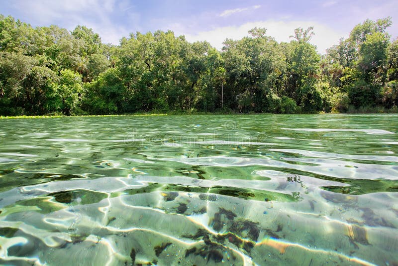 Crystal Clear Natural Spring photos stock Crystal Clear Natural Spring photos stock