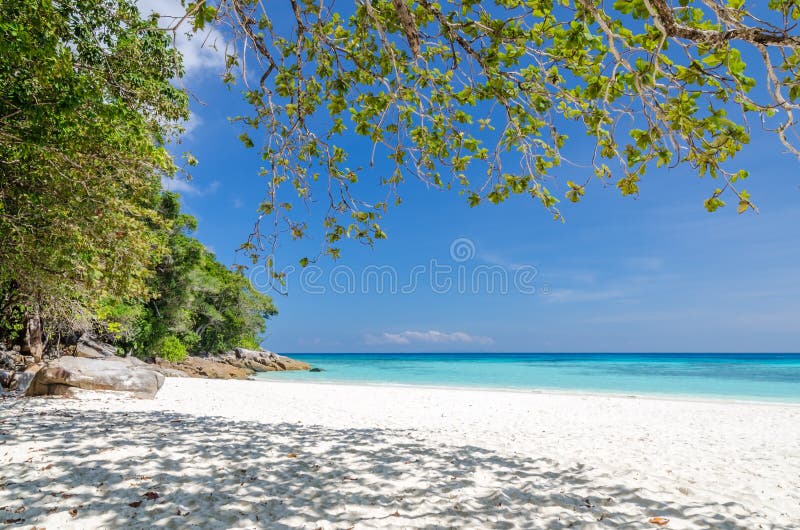 Crystal clear sea and white sand beach