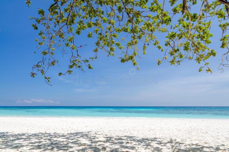 Crystal clear sea and white sand beach