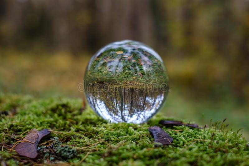 Crystal Glass Ball Against Nature Background with Reflections Stock ...