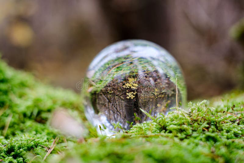 Crystal Glass Ball Against Nature Background With Reflections Stock ...