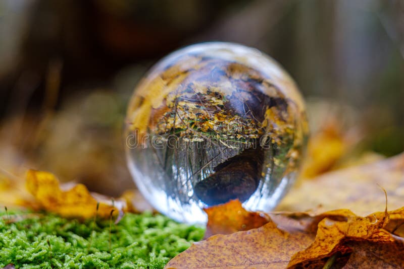 Crystal Glass Ball Against Nature Background With Reflections Stock ...