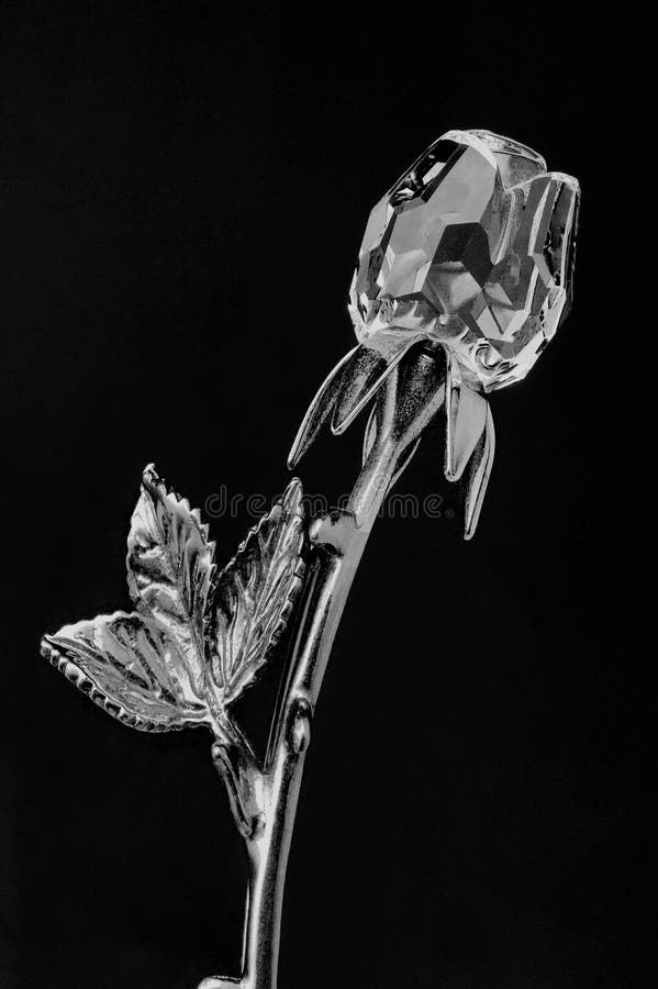 Crystal Glass Rose Flower 24k Gold Plated Long Stem
on Black Background Lokgram Kalyan Maharashtra India. Crystal Glass Rose Flower 24k Gold Plated Long Stem
on Black Background Lokgram Kalyan Maharashtra India