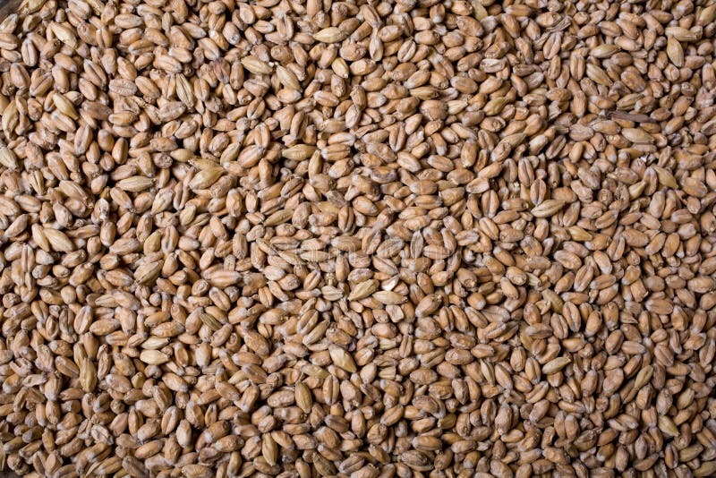 Crystal Malt royalty free stock photo