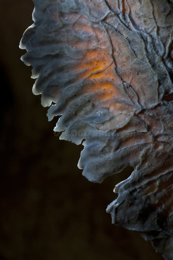 Crystals in Cave royalty free stock photography Crystals in Cave royalty free stock photography