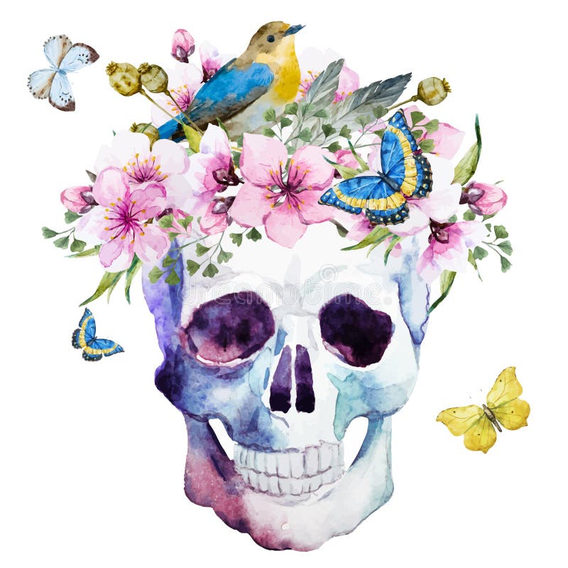 Cráneo de la acuarela con las flores libre illustration Cráneo de la acuarela con las flores libre illustration