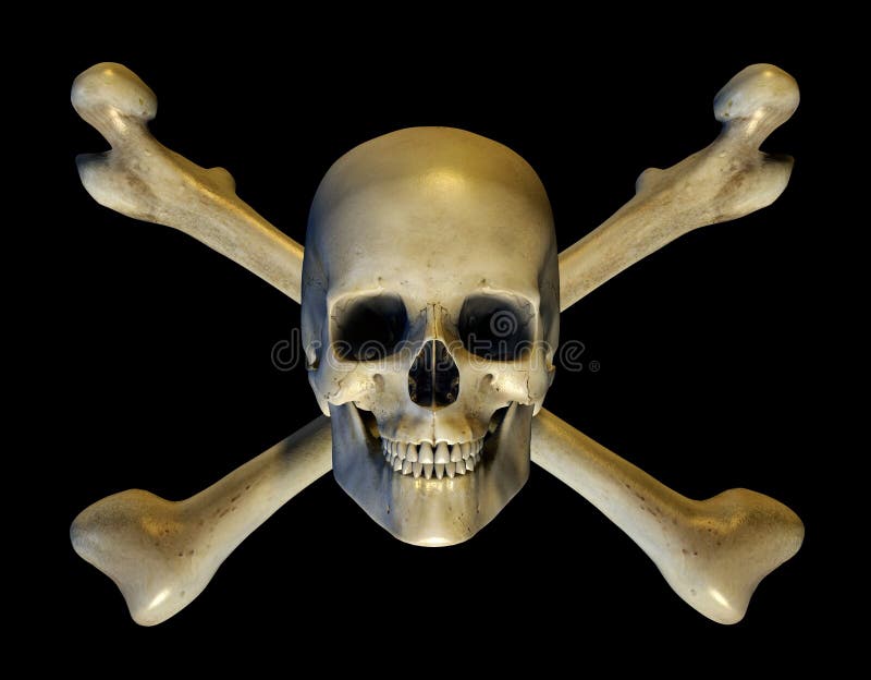 Cráneo y los Crossbones - incluye el camino de recortes libre illustration Cráneo y los Crossbones - incluye el camino de recortes libre illustration
