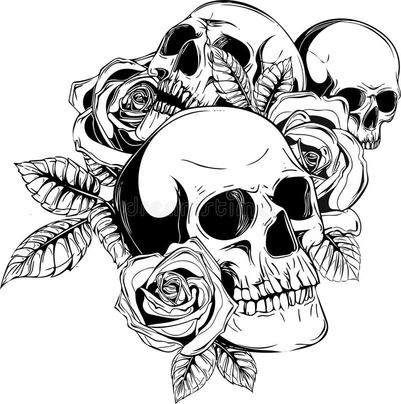 Cráneos humanos con las rosas en el fondo blanco ilustración del vector Cráneos humanos con las rosas en el fondo blanco ilustración del vector