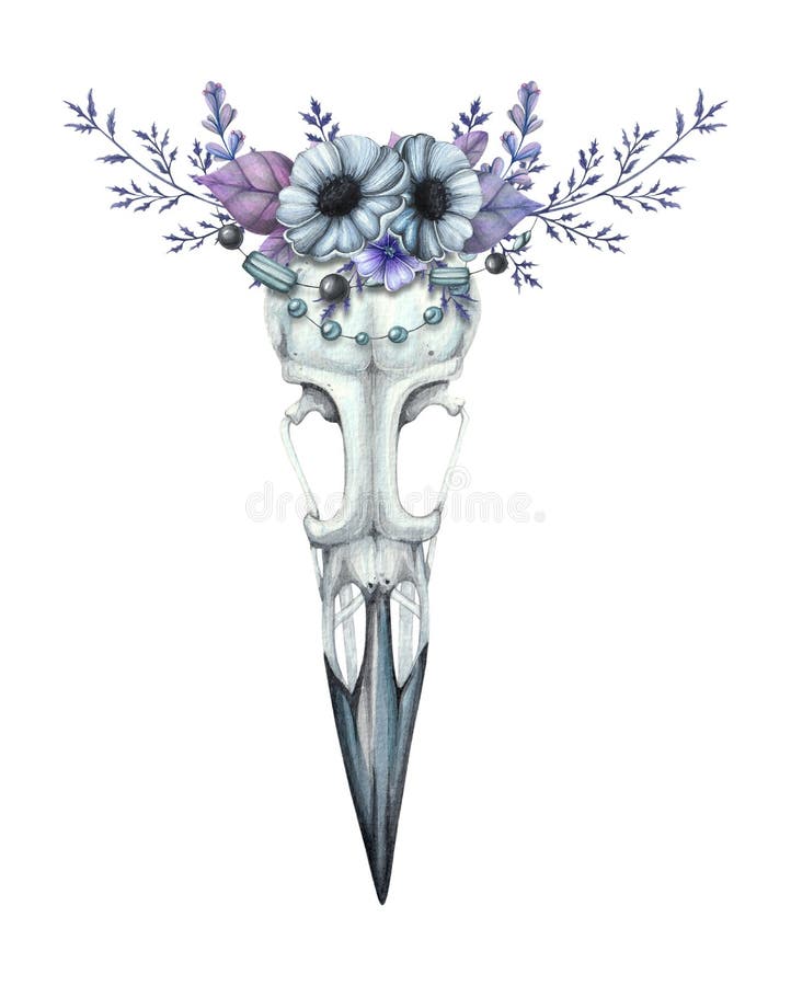 Crâne de Raven avec une guirlande de fleur illustration stock Crâne de Raven avec une guirlande de fleur illustration stock