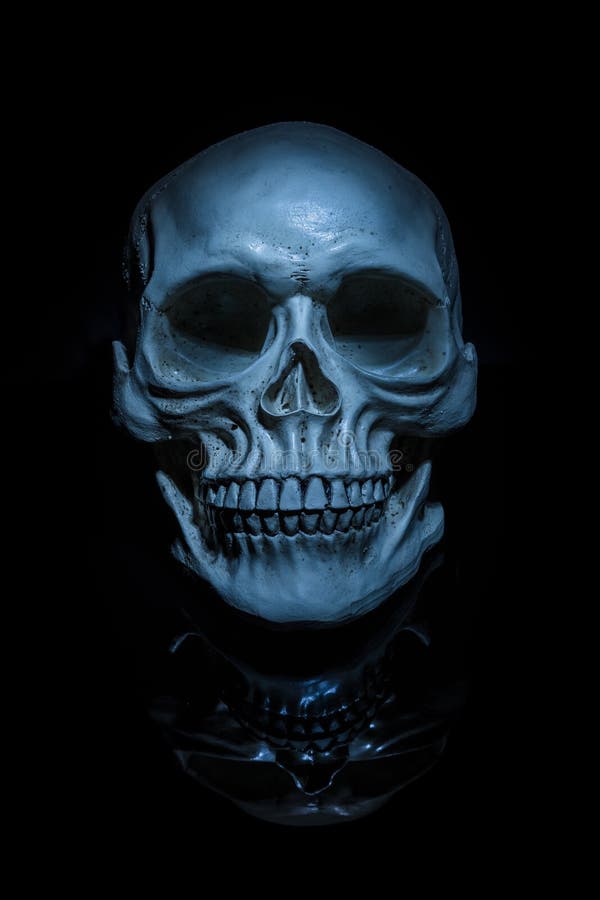 Download Crâne Fantasmagorique Avec La Réflexion Sur Le Fond Noir Photo stock - Image du foncé, fantasmagorique: 45359382