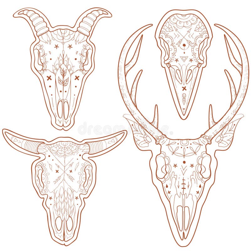 Crânes animaux illustration libre de droits Crânes animaux illustration libre de droits