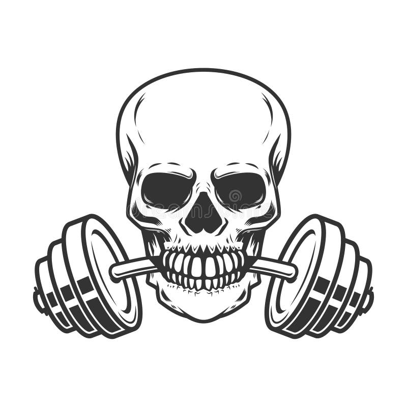 Crânio com o barbell nos dentes Projete o elemento para o logotipo do gym, etiqueta, emblema, sinal, cartaz, camisa de t ilustração do vetor Crânio com o barbell nos dentes Projete o elemento para o logotipo do gym, etiqueta, emblema, sinal, cartaz, camisa de t ilustração do vetor
