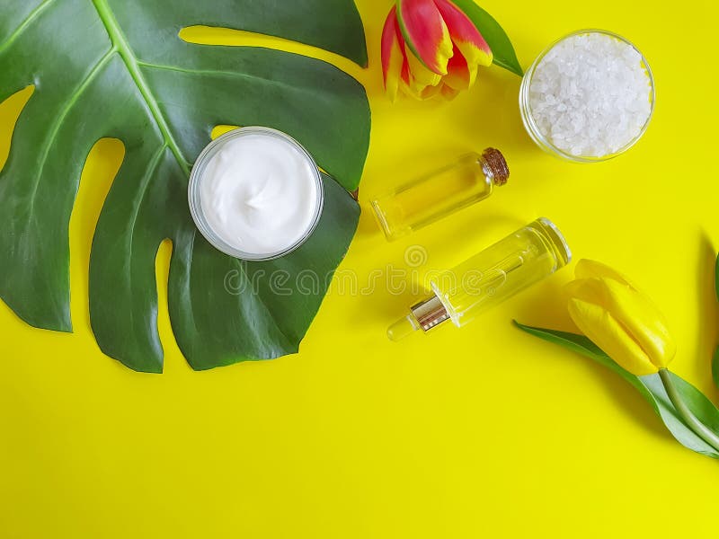 Crème organique molle naturelle de hydrater cosmétique, feuille de monstera de fleur de tulipe de ressort sur un fond coloré images stock Crème organique molle naturelle de hydrater cosmétique, feuille de monstera de fleur de tulipe de ressort sur un fond coloré images stock