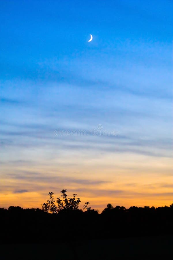 Crépuscule dans le crépuscule image libre de droits Crépuscule dans le crépuscule image libre de droits