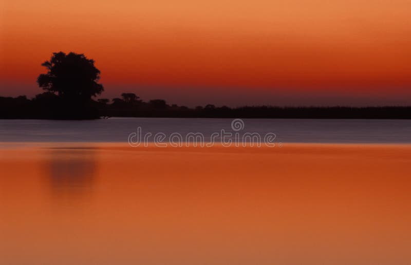 Crépuscule à la rivière Chobe, Botswana