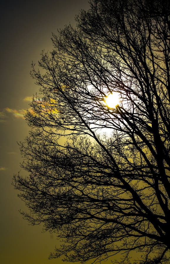 Cuando el sol brille imagen de archivo. Imagen de sunlight - 206746857