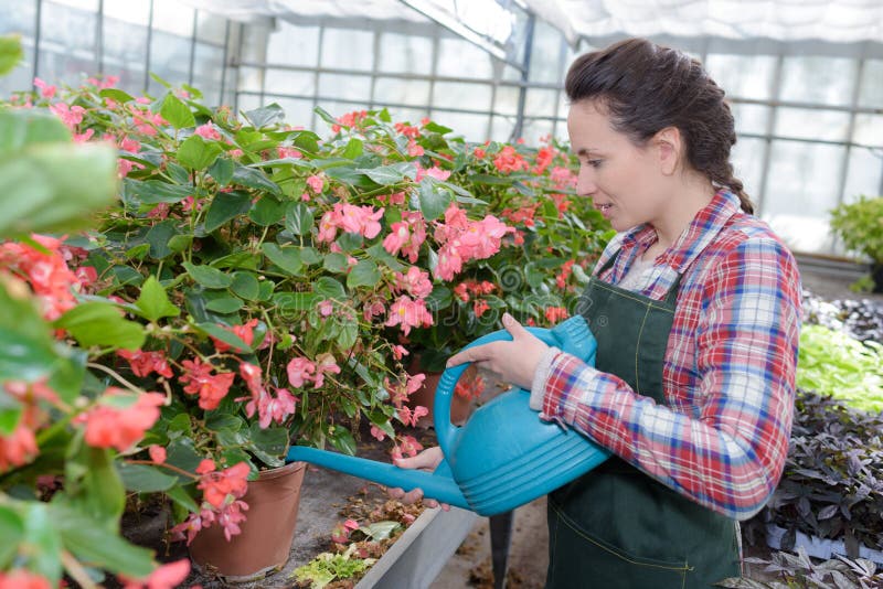 Cuarto de niños sonriente de las plantas de riego del jardinero foto de archivo libre de regalías Cuarto de niños sonriente de las plantas de riego del jardinero foto de archivo libre de regalías