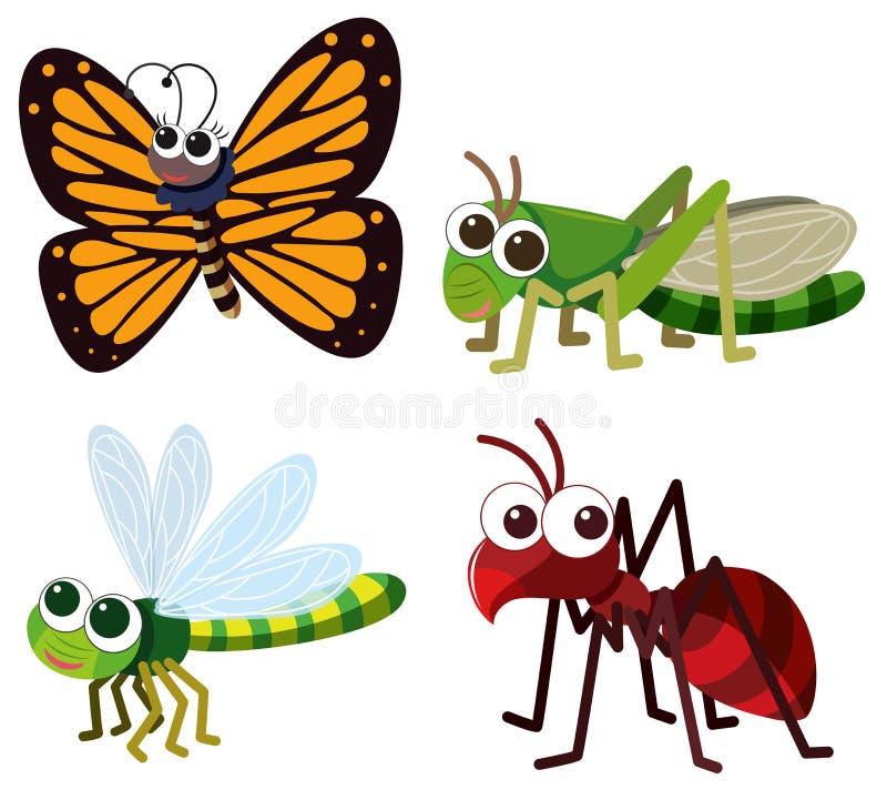 Cuatro diversos tipos de insectos en el fondo blanco ilustración del vector Cuatro diversos tipos de insectos en el fondo blanco ilustración del vector