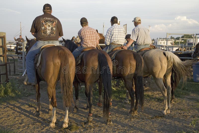 Cuatro vaqueros en el rodeo de PRCA imagen de archivo libre de regalías Cuatro vaqueros en el rodeo de PRCA imagen de archivo libre de regalías