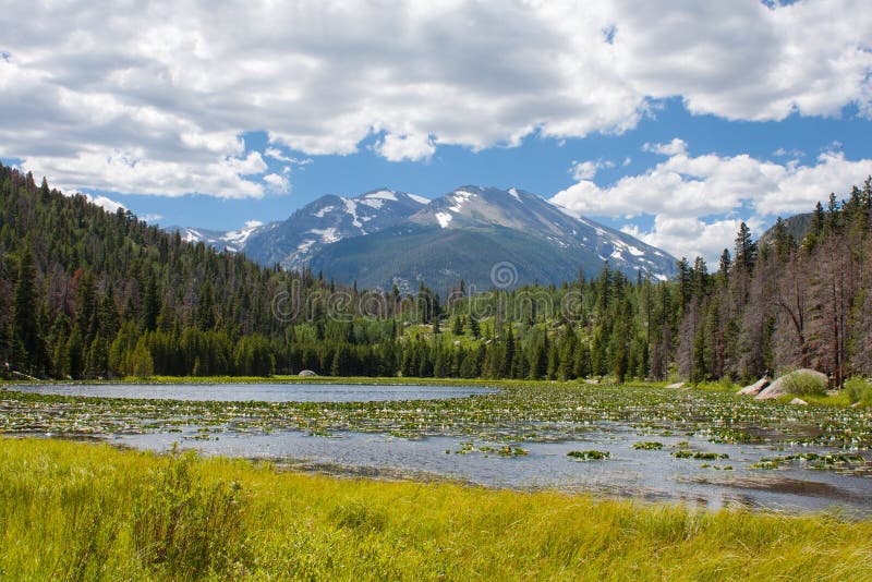 Cub lake in Rocky Mountains royalty free stock image