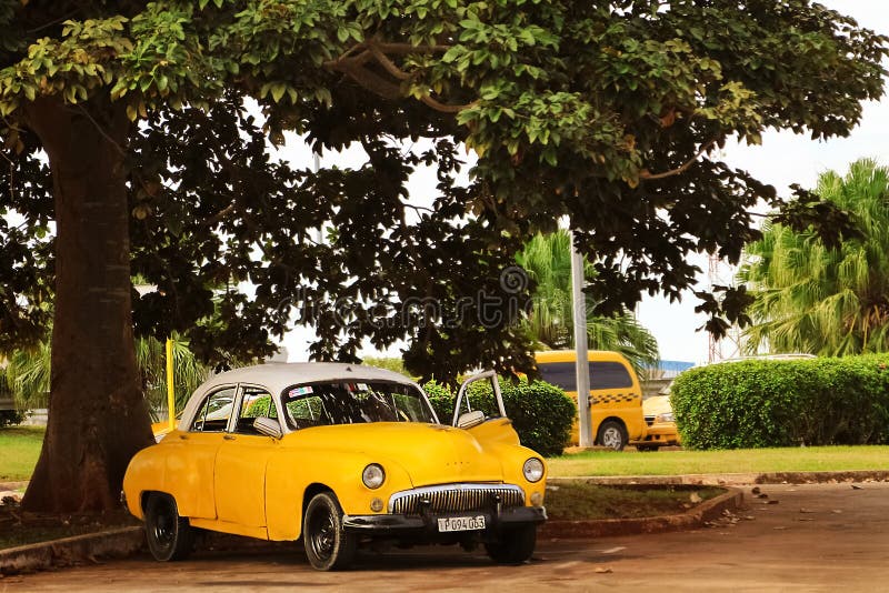 Cuba, Havana - January 16, 2019: Old yellow taxi car in the old city of Havana against the tropical tree royalty free stock photos Cuba, Havana - January 16, 2019: Old yellow taxi car in the old city of Havana against the tropical tree royalty free stock photos