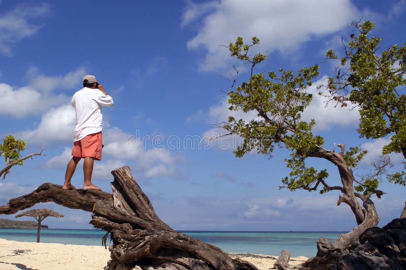 Man standing on a tree at beach in Cuba while making a photograph. Man standing on a tree at beach in Cuba while making a photograph
