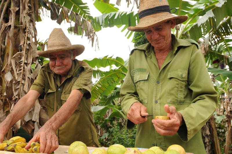 Cuba: Twee oudere Cubaanse landbouwers verkopen vruchten aan de toeristen royalty-vrije stock afbeeldingen Cuba: Twee oudere Cubaanse landbouwers verkopen vruchten aan de toeristen royalty-vrije stock afbeeldingen