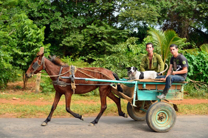 Cubaanse landbouwers die een door paarden getrokken vervoer berijden royalty-vrije stock foto Cubaanse landbouwers die een door paarden getrokken vervoer berijden royalty-vrije stock foto