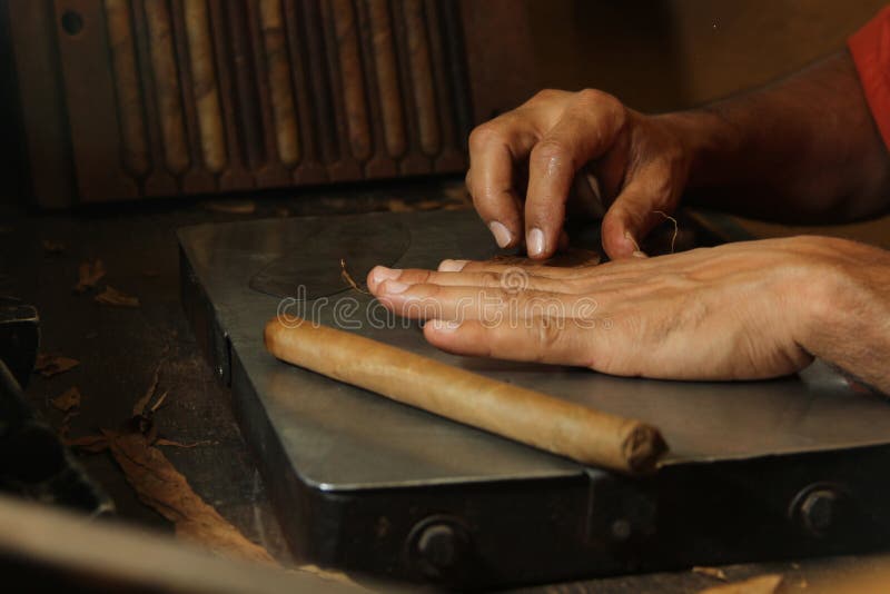 Hands of a Cuban cigars roller in his table. Hands of a Cuban cigars roller in his table