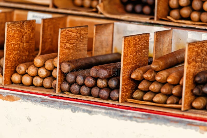 Cuban cigars in boxes in Key West, USA on wooden background. Tobacco traditional handmade manufacture. Smoking and bad habits. Cuban cigars in boxes in Key West, USA on wooden background. Tobacco traditional handmade manufacture. Smoking and bad habits.