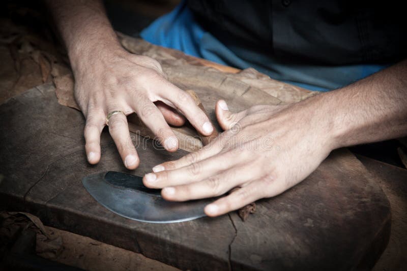 Making of fine cuban cigars. Making of fine cuban cigars