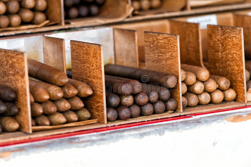 Cuban cigars in boxes in Key West, USA on wooden background. Tobacco traditional handmade manufacture. Smoking and bad habits.