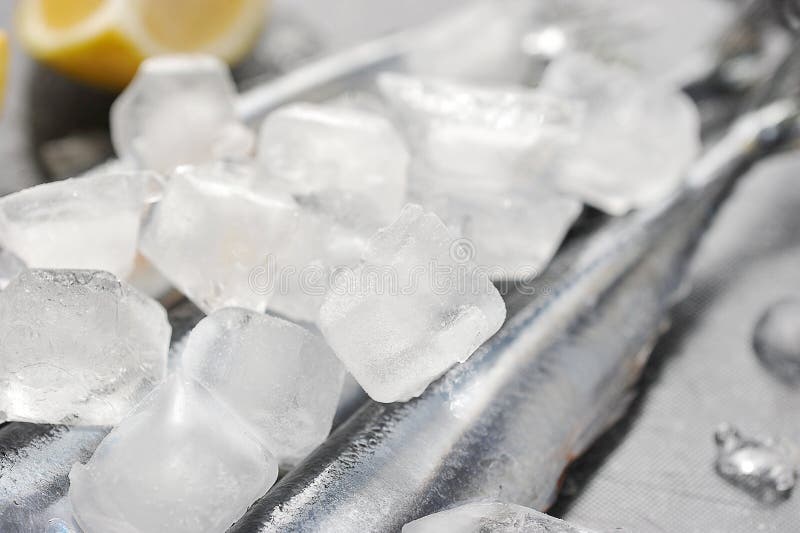 Cubos de hielo y pescados congelados foto de archivo Cubos de hielo y pescados congelados foto de archivo